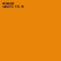 #E98509 - Gold Drop Color Image