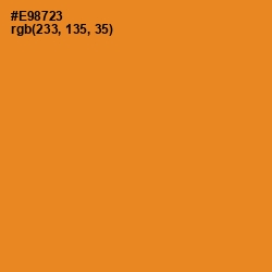 #E98723 - Carrot Orange Color Image