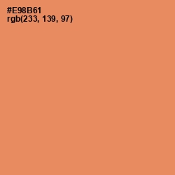 #E98B61 - Apricot Color Image