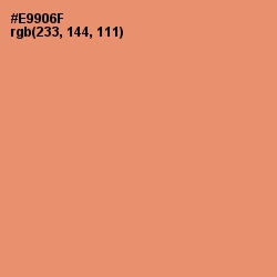 #E9906F - Apricot Color Image