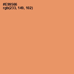 #E99566 - Apricot Color Image
