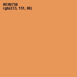 #E99758 - Tan Hide Color Image
