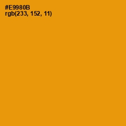 #E9980B - Gamboge Color Image