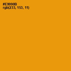 #E9990B - Gamboge Color Image