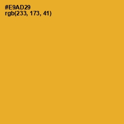 #E9AD29 - Fuel Yellow Color Image