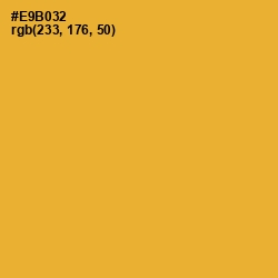 #E9B032 - Tulip Tree Color Image