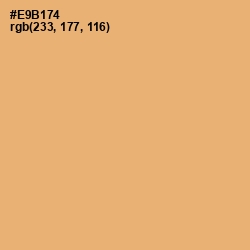 #E9B174 - Harvest Gold Color Image