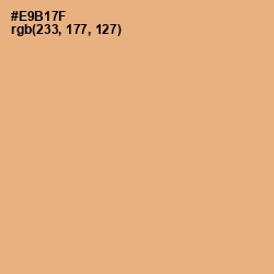 #E9B17F - Harvest Gold Color Image