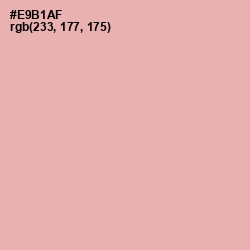 #E9B1AF - Cashmere Color Image