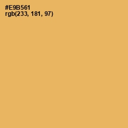 #E9B561 - Equator Color Image