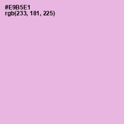 #E9B5E1 - Lavender Rose Color Image