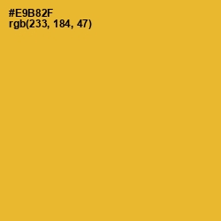 #E9B82F - Tulip Tree Color Image