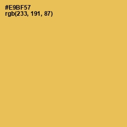 #E9BF57 - Saffron Mango Color Image