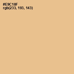 #E9C18F - Putty Color Image