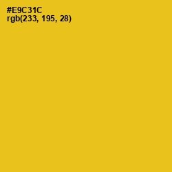 #E9C31C - Lightning Yellow Color Image