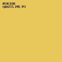 #E9C85B - Cream Can Color Image