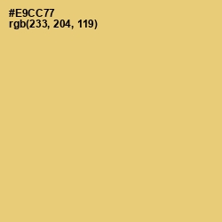 #E9CC77 - Rob Roy Color Image