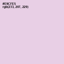 #E9CFE5 - French Lilac Color Image