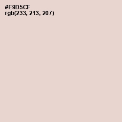 #E9D5CF - Almond Color Image