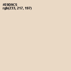 #E9D9C5 - Almond Color Image