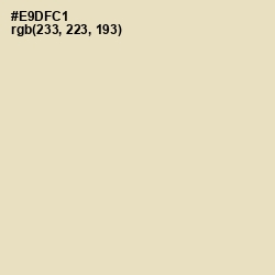 #E9DFC1 - Almond Color Image