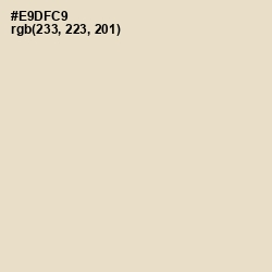 #E9DFC9 - Almond Color Image