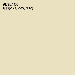 #E9E1C0 - Aths Special Color Image