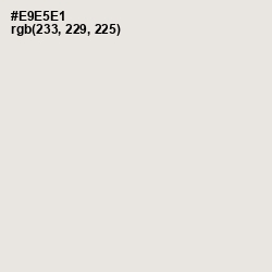 #E9E5E1 - Ebb Color Image