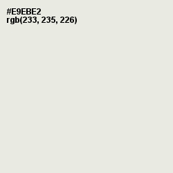 #E9EBE2 - Green White Color Image