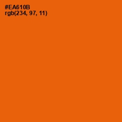 #EA610B - Clementine Color Image