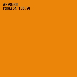 #EA8509 - Gold Drop Color Image