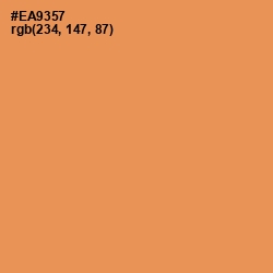 #EA9357 - Tan Hide Color Image