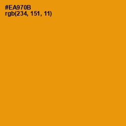 #EA970B - Gamboge Color Image