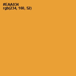 #EAA034 - Fuel Yellow Color Image