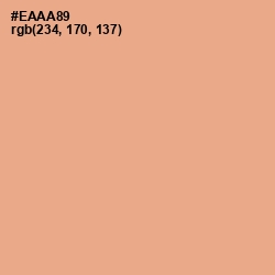 #EAAA89 - Tacao Color Image