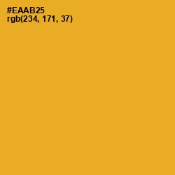 #EAAB25 - Fuel Yellow Color Image