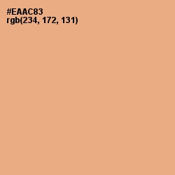 #EAAC83 - Tacao Color Image