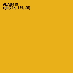 #EAB019 - Buttercup Color Image