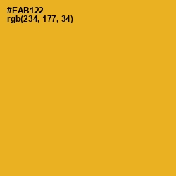 #EAB122 - Fuel Yellow Color Image