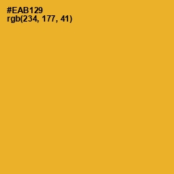 #EAB129 - Fuel Yellow Color Image