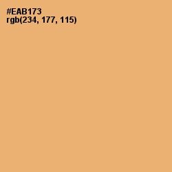 #EAB173 - Harvest Gold Color Image