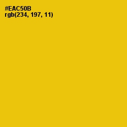 #EAC50B - Supernova Color Image