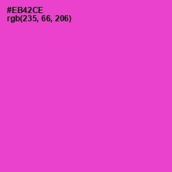 #EB42CE - Fuchsia Pink Color Image