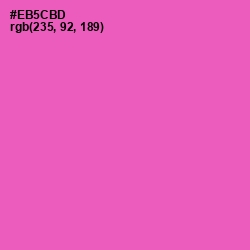 #EB5CBD - Brilliant Rose Color Image
