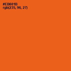 #EB601B - Orange Color Image