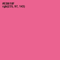 #EB618F - Deep Blush Color Image