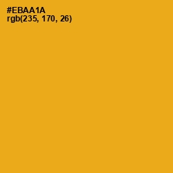 #EBAA1A - Buttercup Color Image