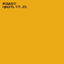 #EBAB17 - Buttercup Color Image