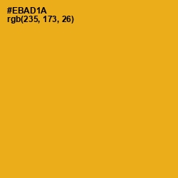 #EBAD1A - Buttercup Color Image