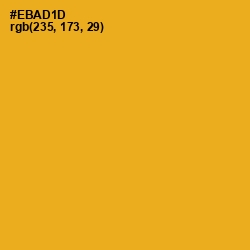 #EBAD1D - Buttercup Color Image